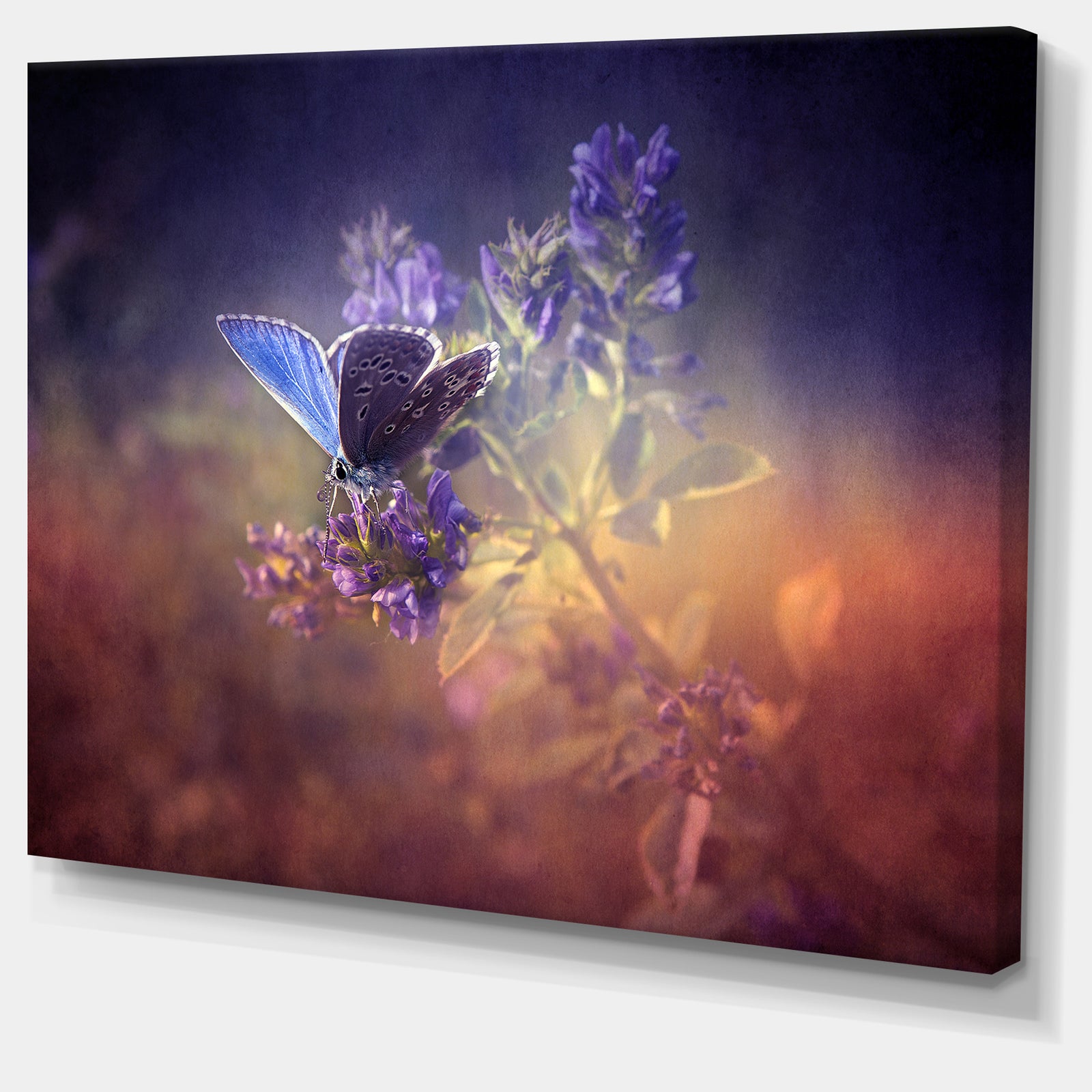 Vintage Butterfly - Digital Art Floral Canvas Print
