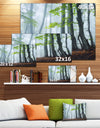 Green Leaves in Old Forest - Landscape Photo Canvas Print