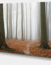 Misty Autumn Beech Forest - Landscape Photo Canvas Print
