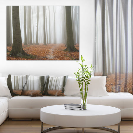 Misty Autumn Beech Forest - Landscape Photo Canvas Print