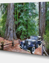 Vintage Car in Forest - Landscape Painting Canvas Print