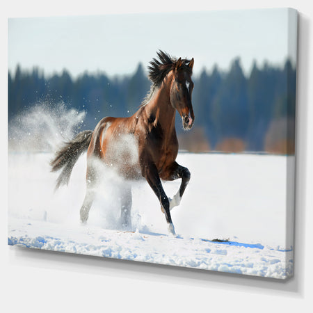 Horse Running in Winter - Landscape Photo Canvas Print