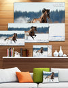 Horse Running in Winter - Landscape Photo Canvas Print