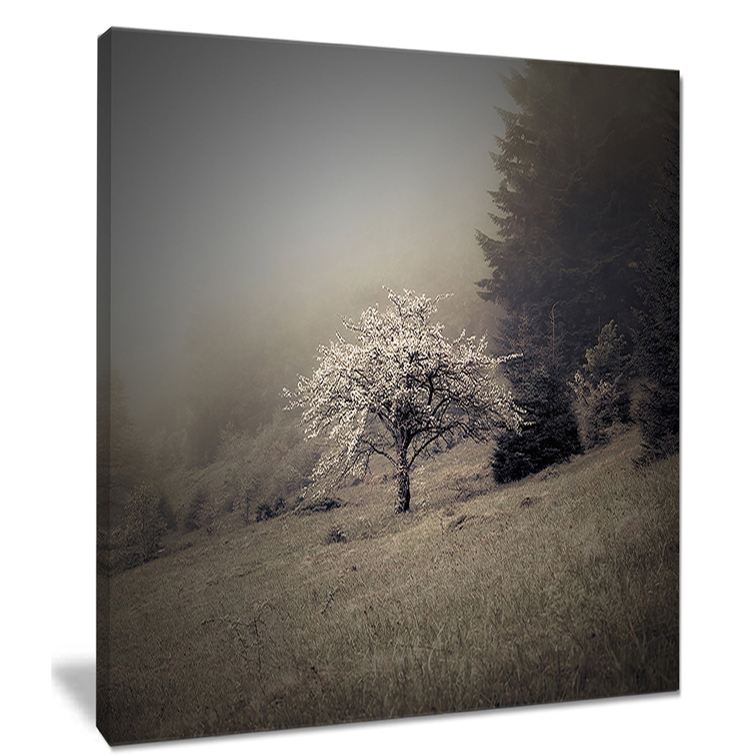 Apple Tree Vintage Style - Landscape Photo Canvas Art Print