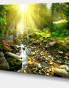 Mountain Stream in Forest - Landscape Photography Canvas Print