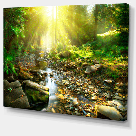 Mountain Stream in Forest - Landscape Photography Canvas Print