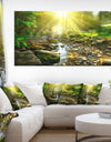 Mountain Stream in Forest - Landscape Photography Canvas Print