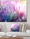 Growing and Blooming Lavender - Floral Canvas Art print