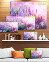 Growing and Blooming Lavender - Floral Canvas Art print