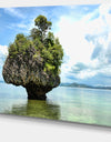 Tree Island in Summer - Landscape Photography Canvas Print