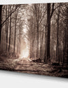 Forest Trail in Sepia - Landscape Photography Canvas Art Print