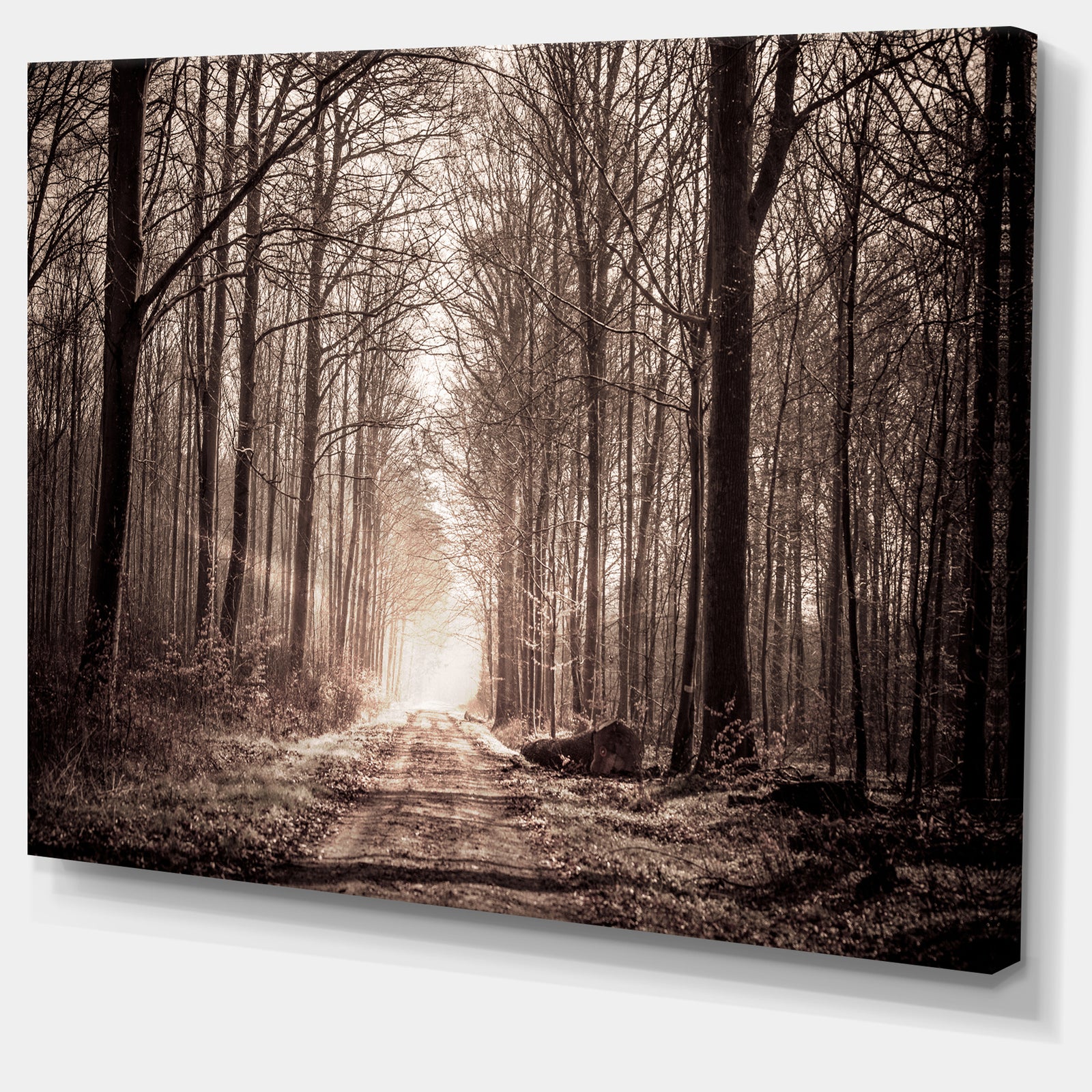 Forest Trail in Sepia - Landscape Photography Canvas Art Print