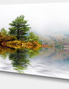 Pine Tree with Reflection - Landscape Photo Canvas Print