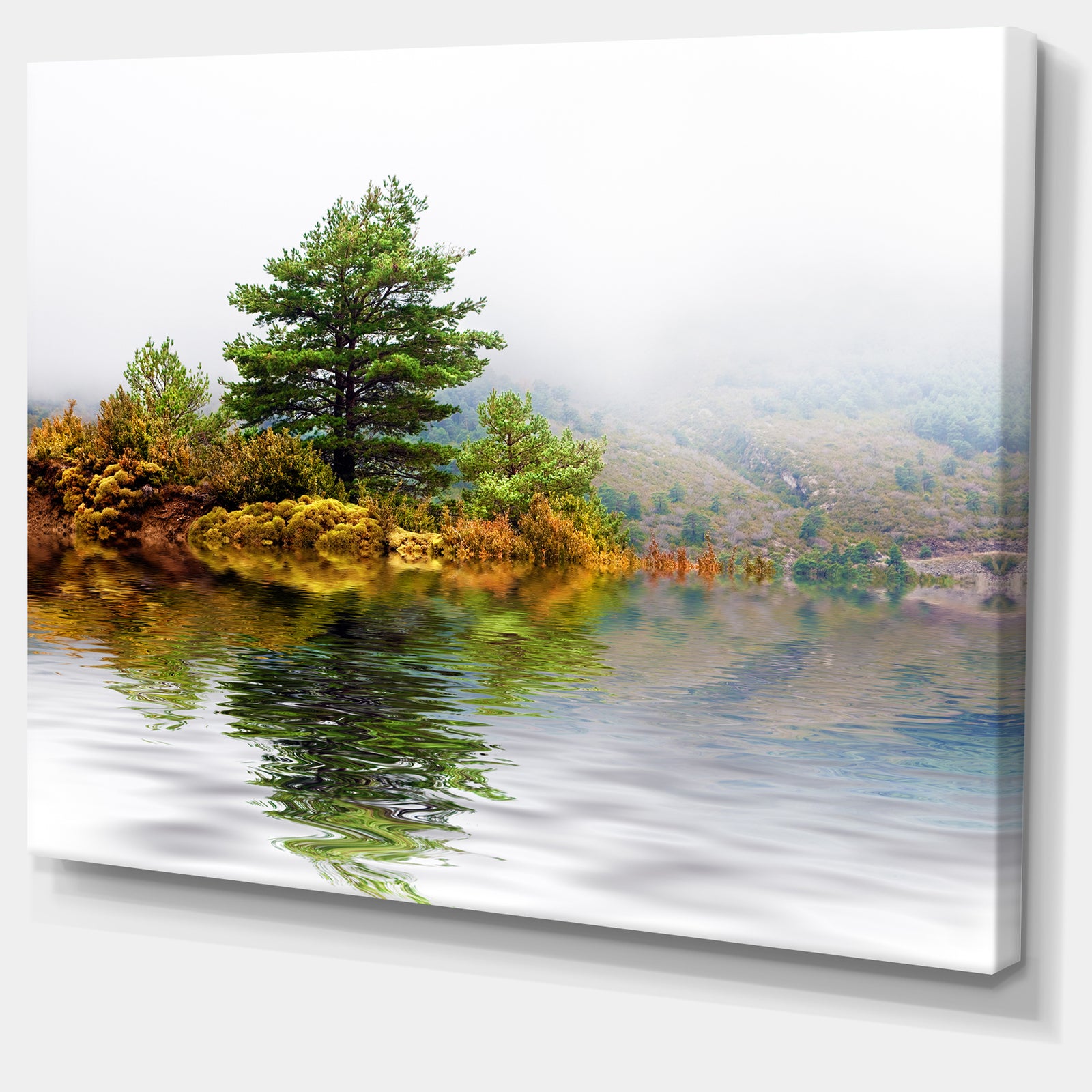 Pine Tree with Reflection - Landscape Photo Canvas Print