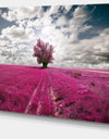 Purple Tree Dreamscape - Landscape Photo Canvas Print
