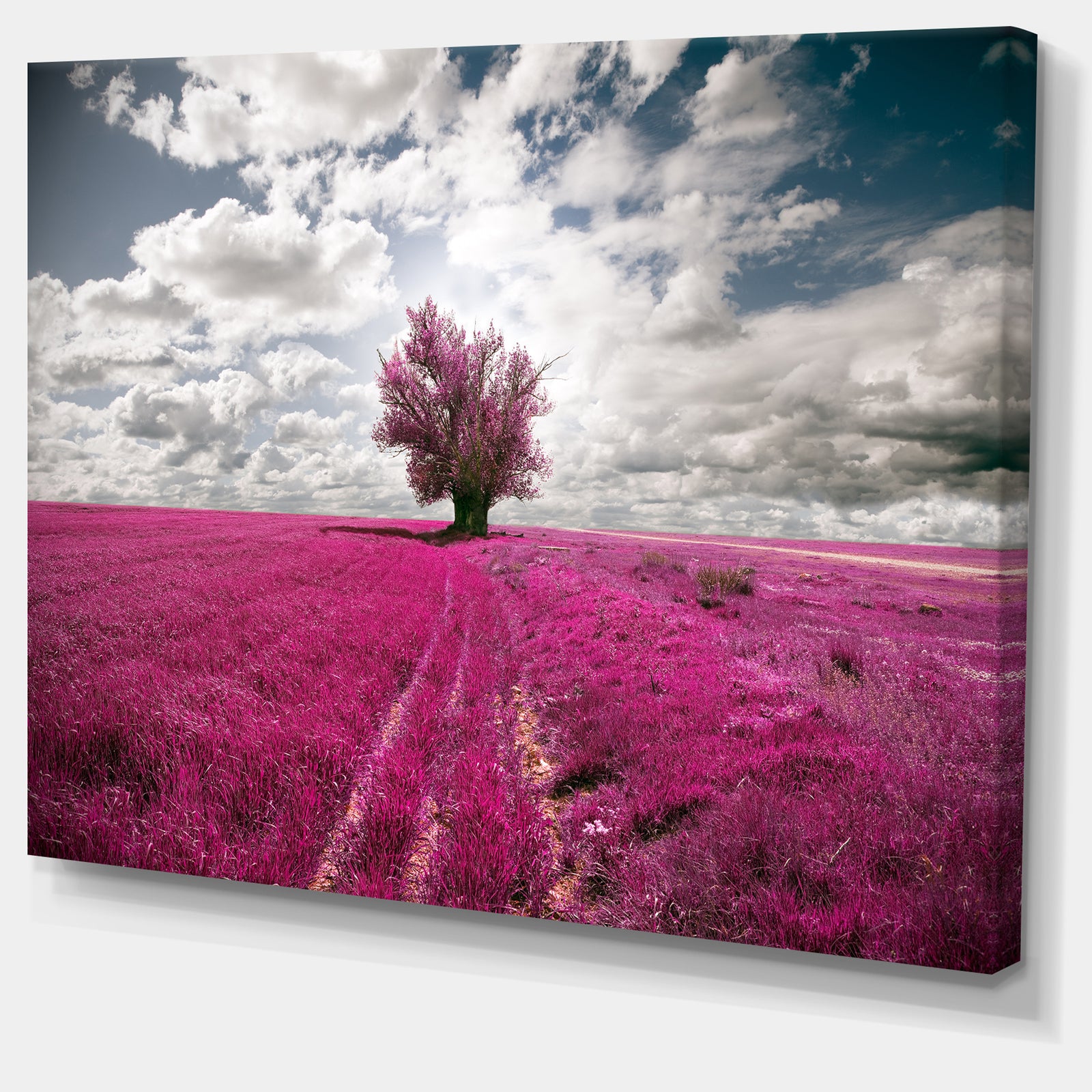Purple Tree Dreamscape - Landscape Photo Canvas Print