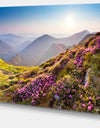 Magic Pink Flowers on Mountains - Landscape Photo Canvas Print