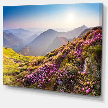 Magic Pink Flowers on Mountains - Landscape Photo Canvas Print