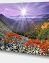 Rocky and Colorful Carpathian - Landscape Photo Canvas Art Print