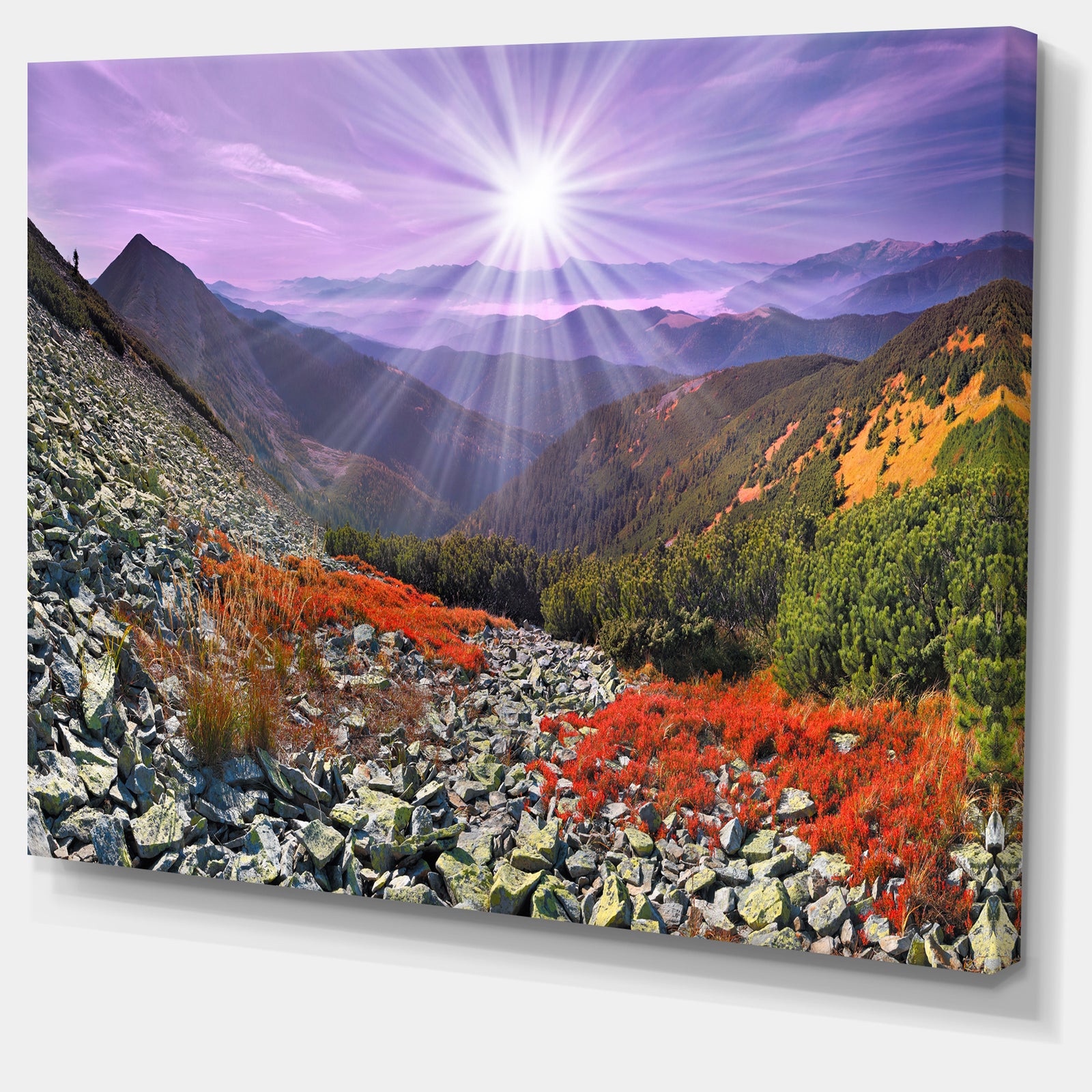 Rocky and Colorful Carpathian - Landscape Photo Canvas Art Print