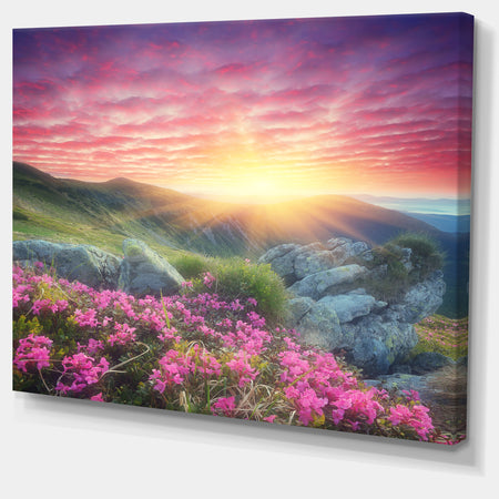 Morning with Flowers in Mountains - Landscape Photo Canvas Print
