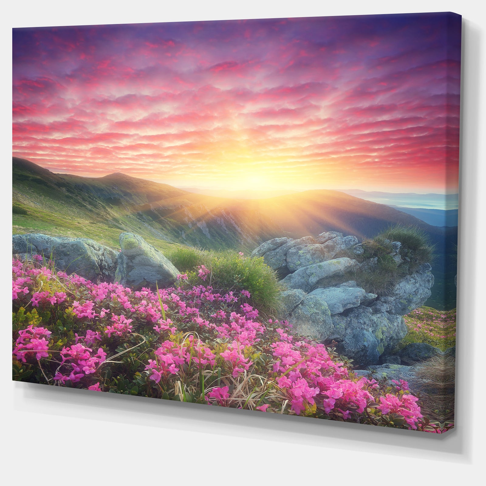 Morning with Flowers in Mountains - Landscape Photo Canvas Print