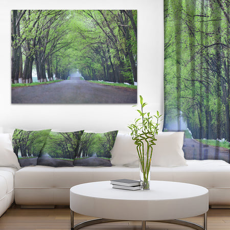 Arched Trees Over Country Road - Landscape Photo Canvas Print