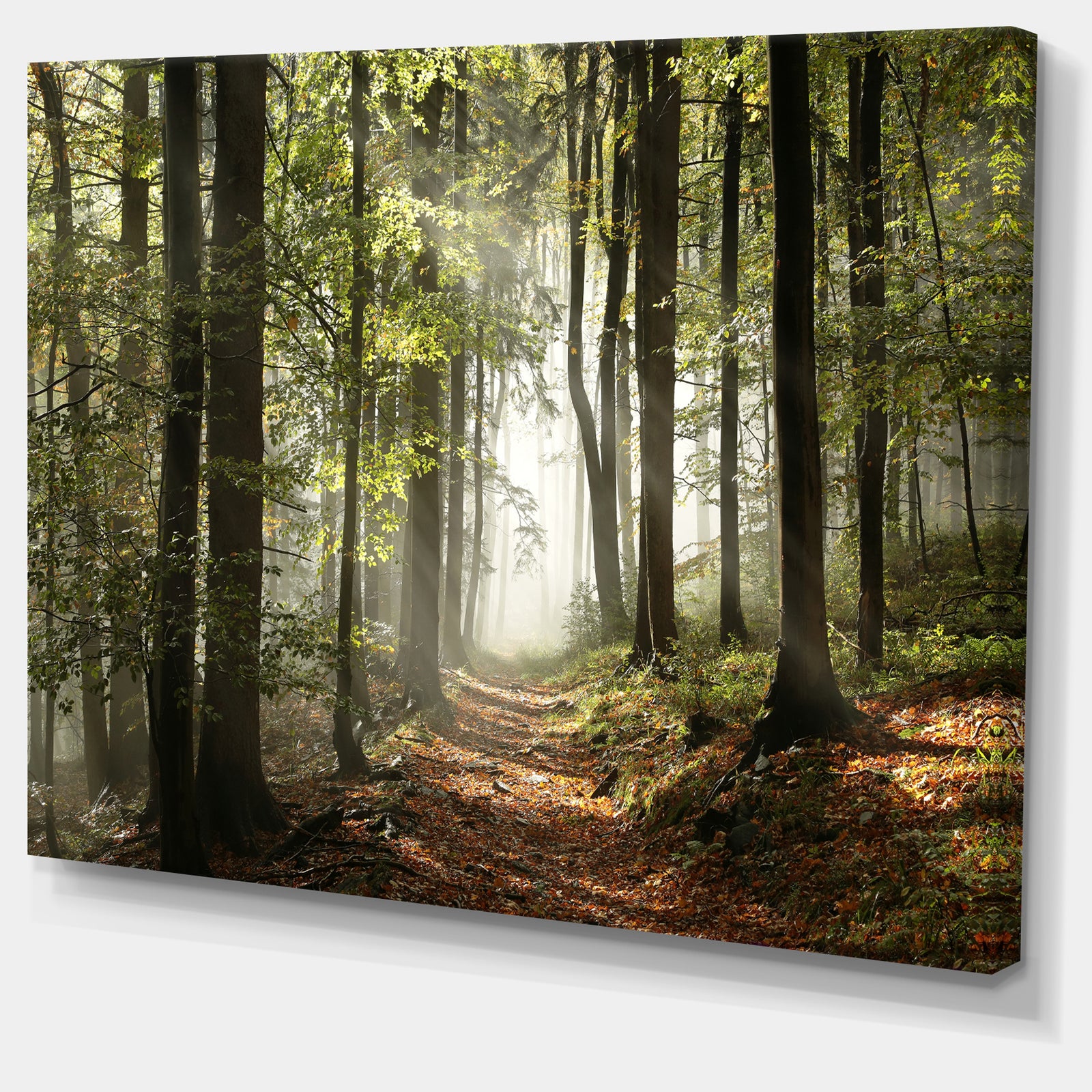 Green Fall Forest with Sun Rays - Landscape Photography Canvas Print