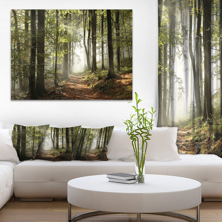 Green Fall Forest with Sun Rays - Landscape Photography Canvas Print