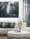 Sun Rays Through Gray Trees - Landscape Photography Wall Art