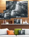 Sun Rays Through Gray Trees - Landscape Photography Wall Art
