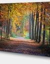 Wide Pathway in Yellow Fall Forest - Landscape Photography Wall Art