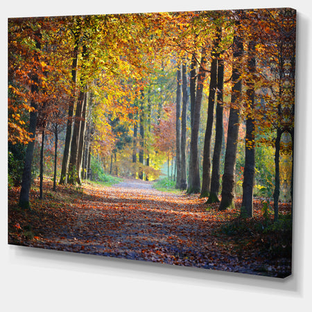 Wide Pathway in Yellow Fall Forest - Landscape Photography Wall Art