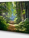 Bright Green Forest in Morning - Landscape Photo Canvas Print