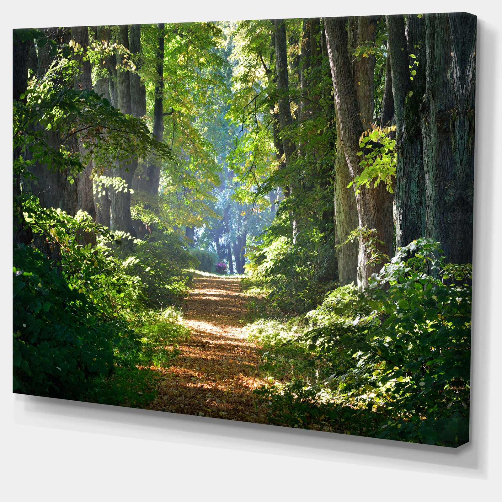 Bright Green Forest in Morning - Landscape Photo Canvas Print