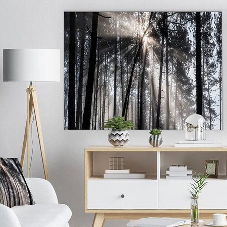Sunbeams through Black White Forest - Forest Canvas Wall Art Print
