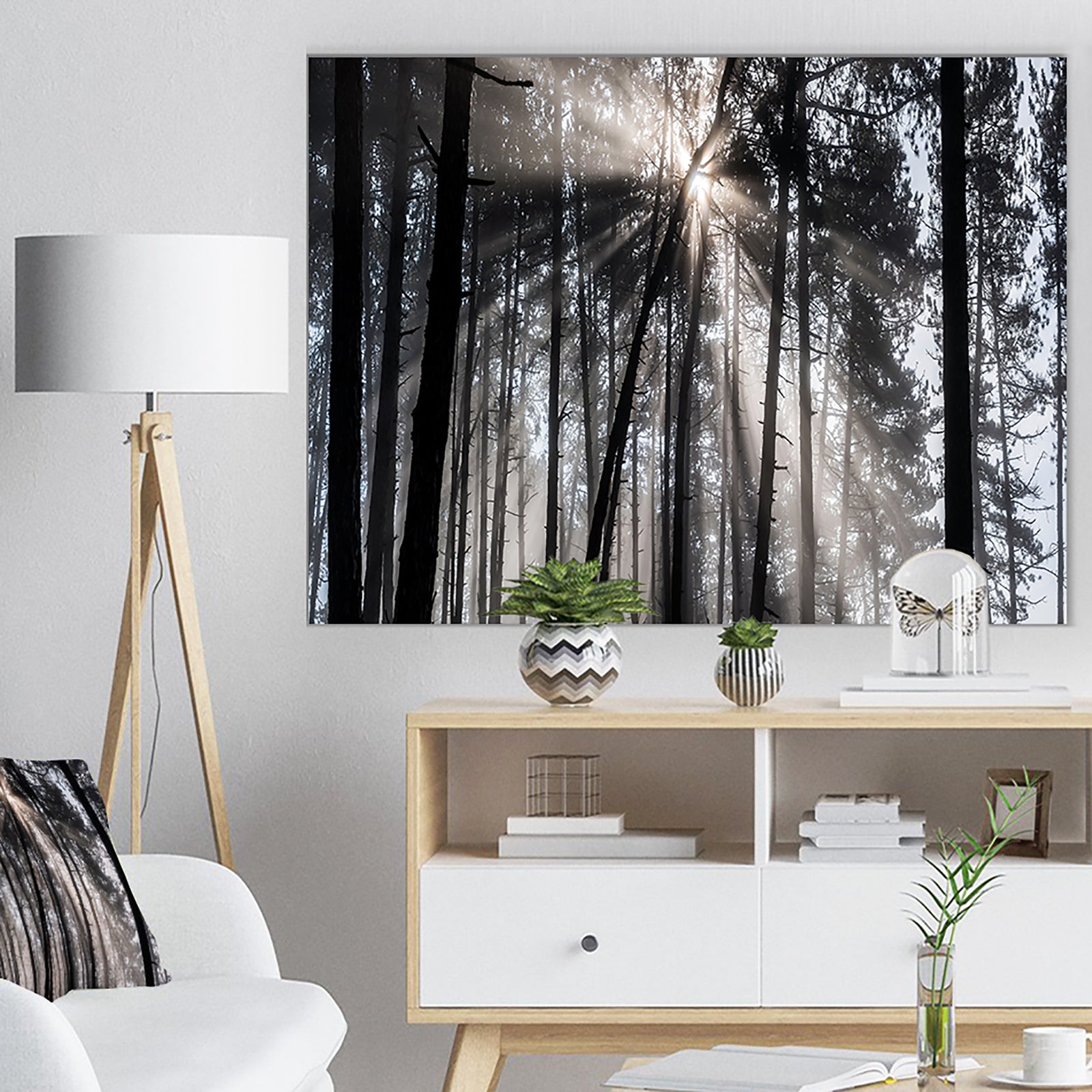 Sunbeams through Black White Forest - Forest Canvas Wall Art Print