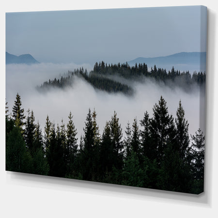 Dark Trees and Fog Over Mountains - Landscape Art Print Canvas