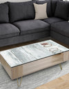 Whitewashed Chinchilla - Traditional Coffee Table