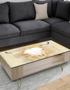 Hers southwest bones - Traditional Coffee Table