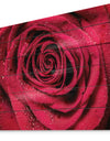 Red Rose Petals with Rain Droplets - Floral Art Print on Natural Pine Wood