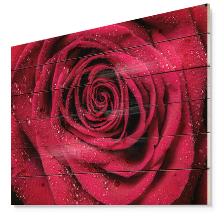 Red Rose Petals with Rain Droplets - Floral Art Print on Natural Pine Wood