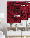 Red Rose Petals with Rain Droplets - Floral Art Print on Natural Pine Wood