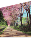 Cherry Blossom Pathway in Chiang Mai - Landscape Print on Natural Pine Wood