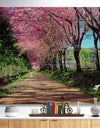 Cherry Blossom Pathway in Chiang Mai - Landscape Print on Natural Pine Wood