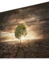 Lonely Tree under Dramatic Sky - Wall Art Landscape Print on Natural Pine Wood