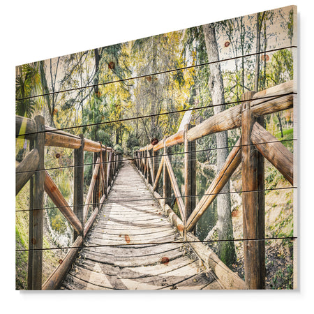 Wooden Bridge in Forest - Wooden Sea Bridge Print on Natural Pine Wood