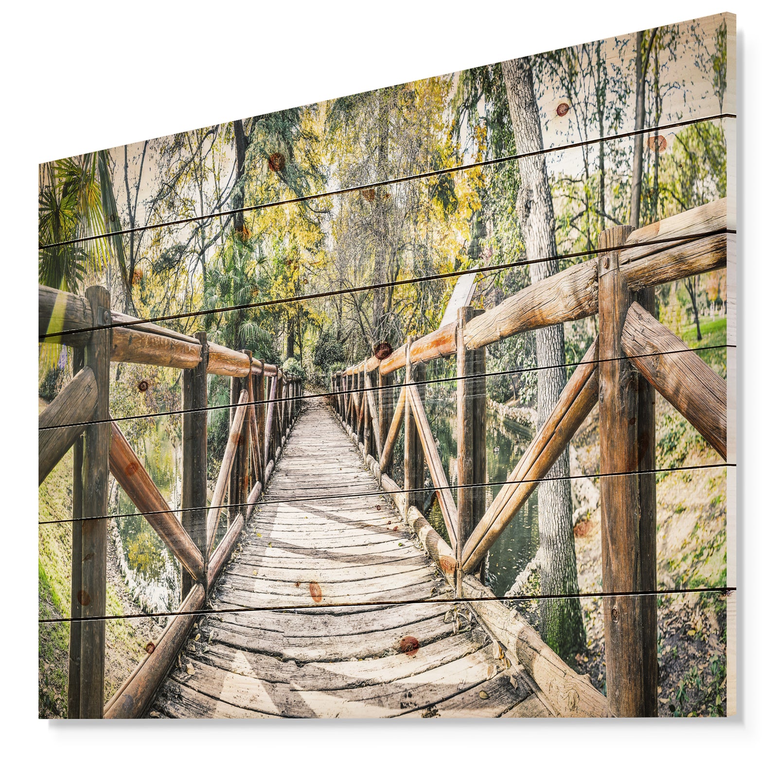 Wooden Bridge in Forest - Wooden Sea Bridge Print on Natural Pine Wood