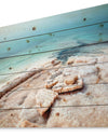 Dead Sea Beach with Crystallized Salt - Seashore Print on Natural Pine Wood