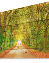 Fall Greenery and Road Straight Ahead - Forest Print on Natural Pine Wood